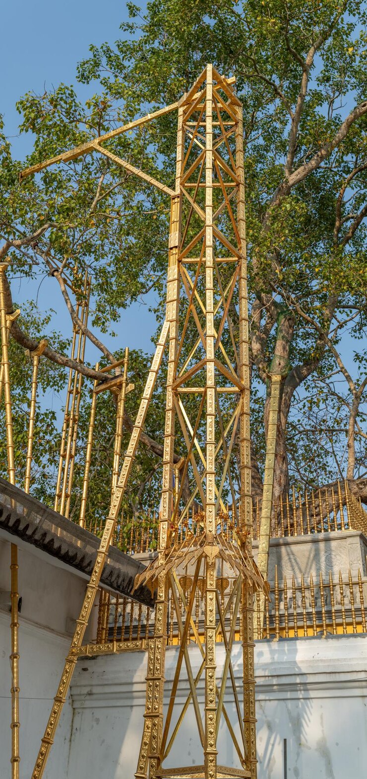 Photo jaya sri maha bhodi tree is a sacred fig tree in the mahamewna garden planted in 288 bc