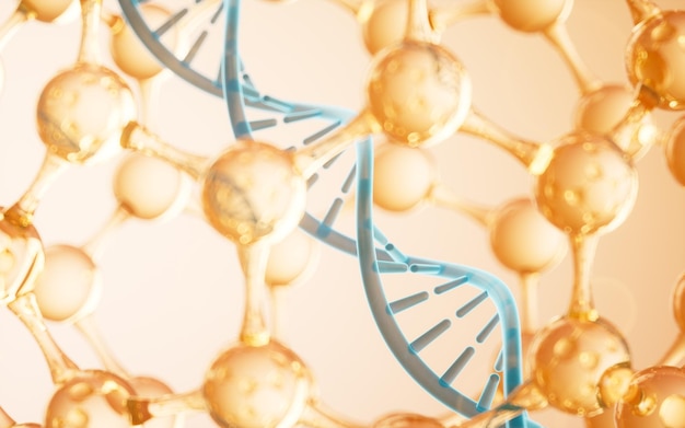Kết xuất 3D DNA và khái niệm công nghệ sinh học cấu trúc phân tử