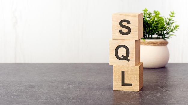 letters of the alphabet of sql on wooden cubes green plant on a white background