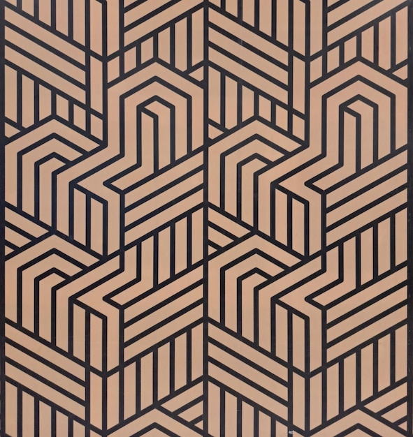Modern Geometrical peel and stick hexagonal pattern Black and Gold hexagon Hexagon geometrical