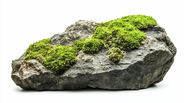 Mossy rock isolated on white background nature texture