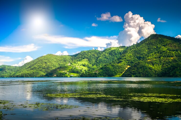 Photo nature travel landscape