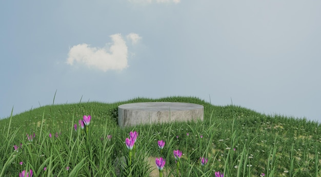 Natute and grass field podium for product presentation