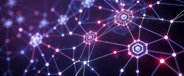 Network Connections