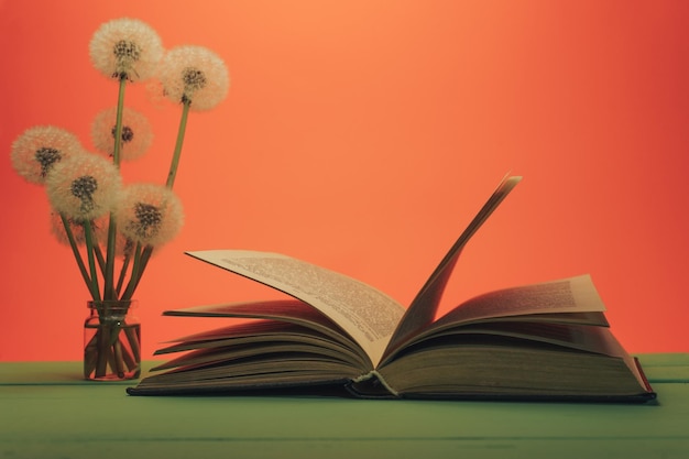 Open book and flower dandeliony in vase on a green wooden table and coral orange background
