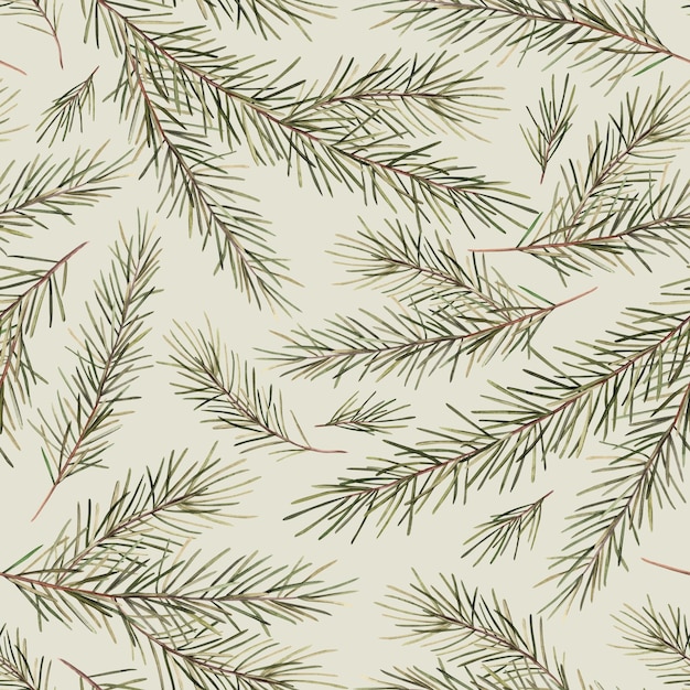 Pattern of fir branches Christmas watercolor botanical illustration hand drawn on a light green back