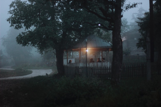 people sitting in park during foggy weather