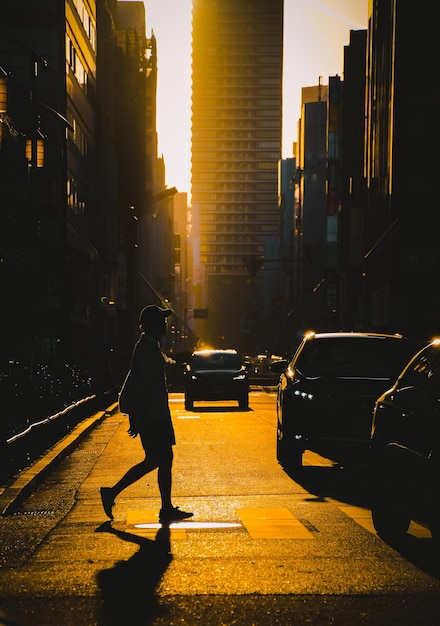 people walking on street in city