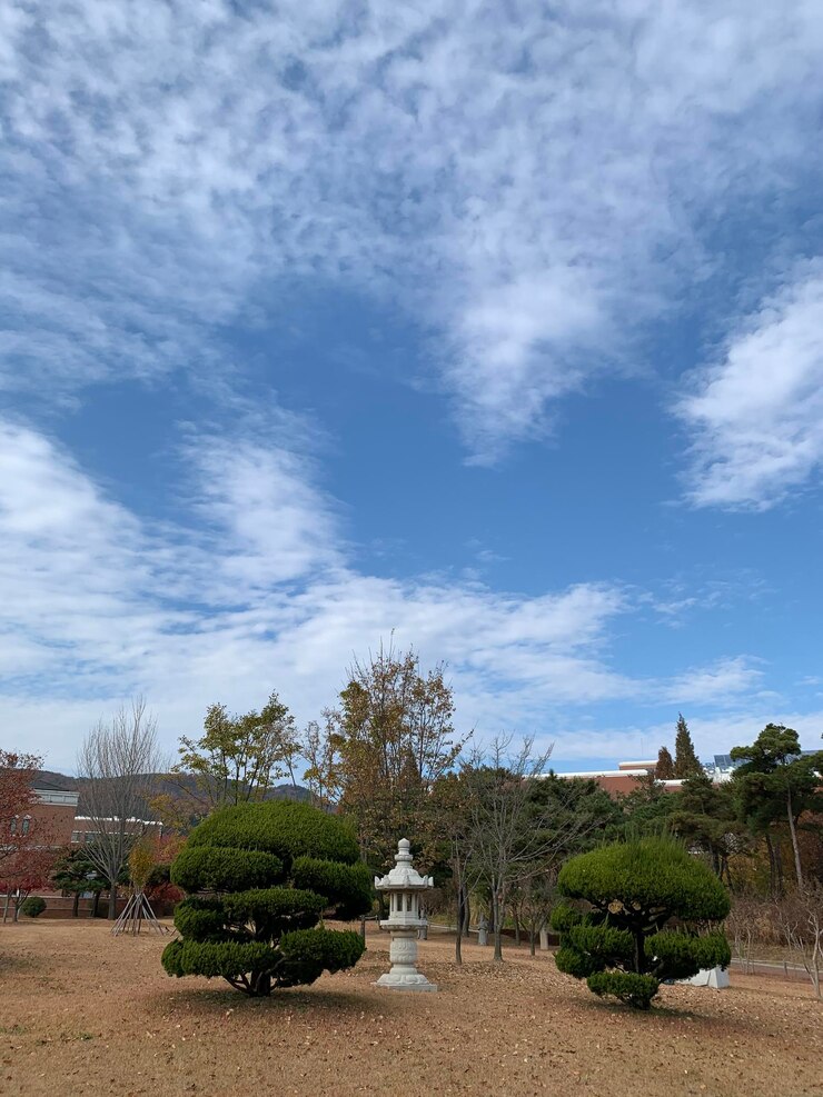 Photo plants and trees by building against sky