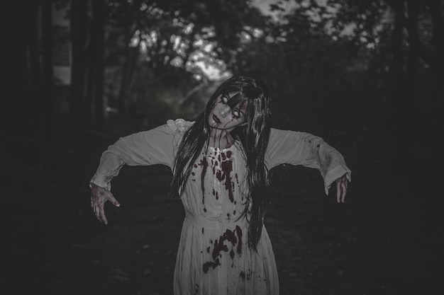 portrait of asian woman make up ghostscary horror scene for backgroundhalloween festival conceptghost movies poster
