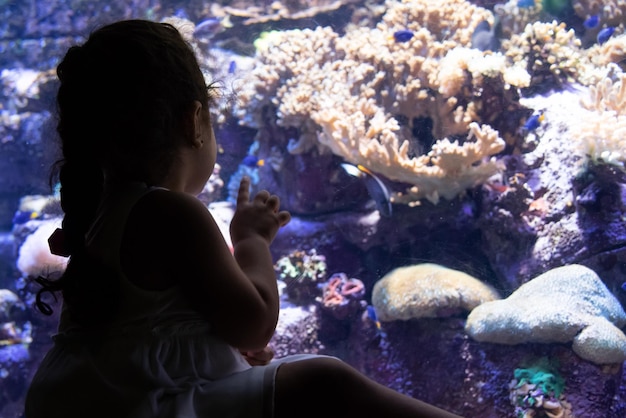 Rear view of girl looking at aquarium