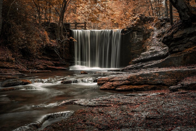 scenic view of waterfall against trees in forest