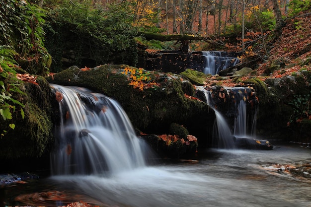 scenic view of waterfall in forest during autumn