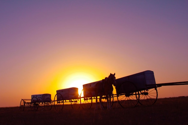 silhouette horse by carts against sky during sunset
