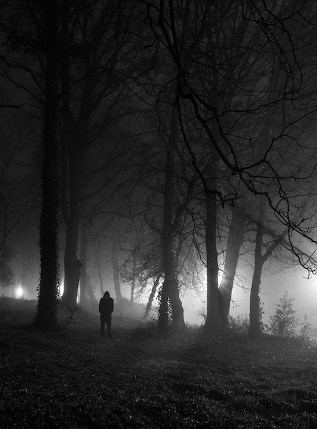 silhouette man standing in forest at night