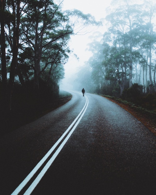 silhouette person walking on road amidst trees during foggy weather