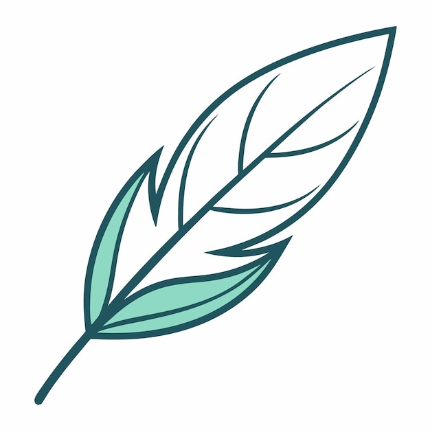 simple feather using a single continuous line