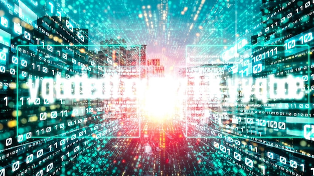 software development application programming code and tacit computer coding