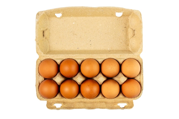 ten eggs in packaging paper mould box isolated on white background top view