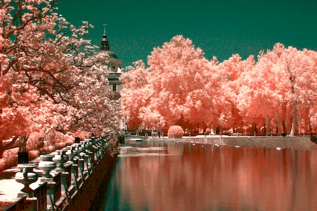 view of trees in a lake