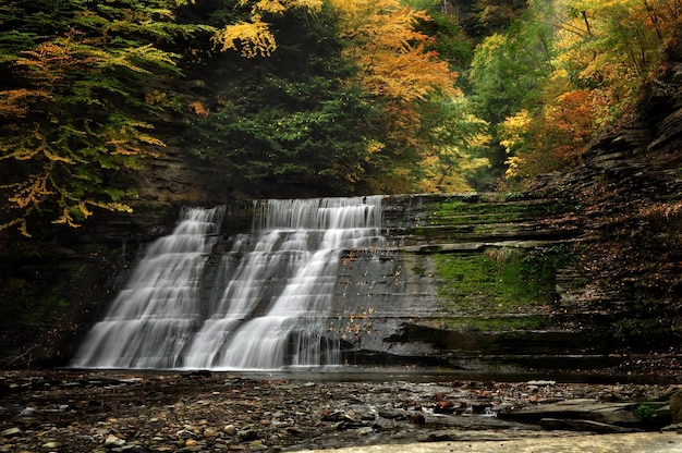 view of waterfall along plants