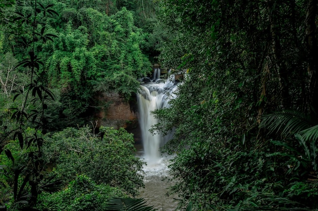 view of waterfall in forest