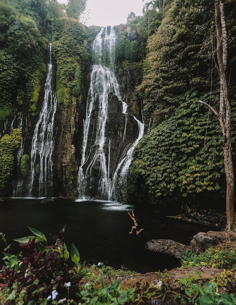 woman diving into river