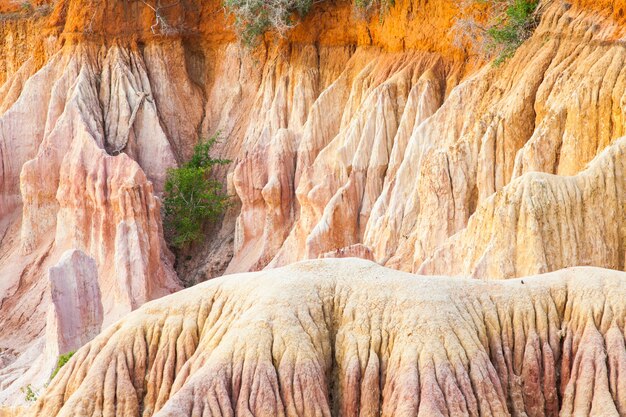 Wonderful orange colors at sunset in Marafa Canyon - also said The Hell's Kitchen. Malindi region, Kenya