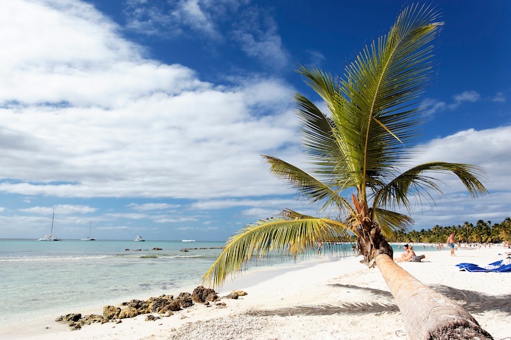 Miễn phí Photo cây cọ trên bãi biển caribbean với mây