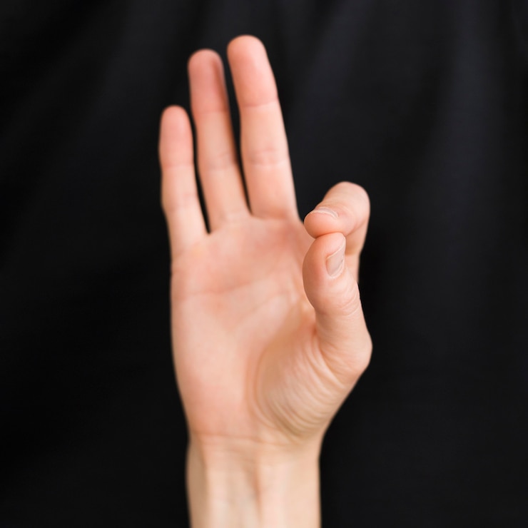 Miễn phí Photo close-up interpreter teaching sign language