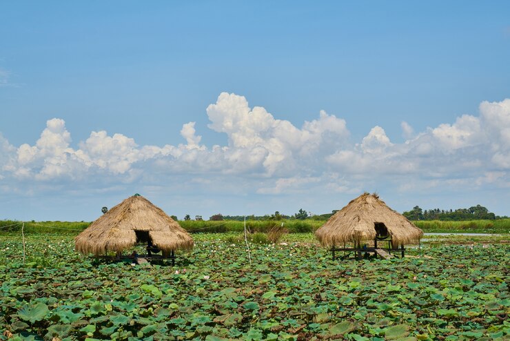 Miễn phí Photo landscape in cambodia