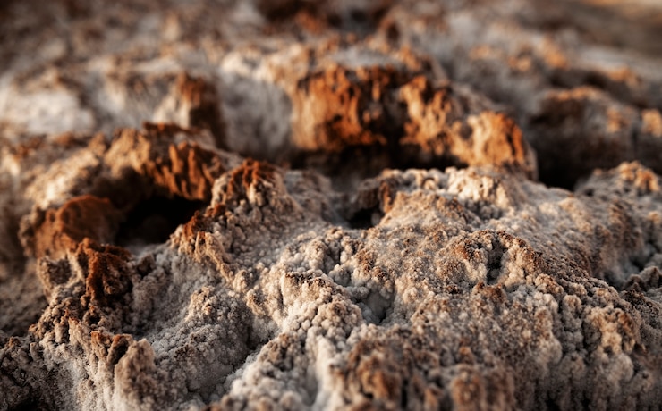 Miễn phí Photo soil details of an undiscovered planet in the universe