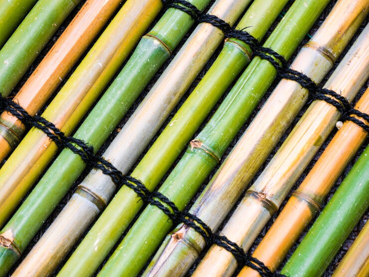 Miễn phí Photo top view shot of bamboo