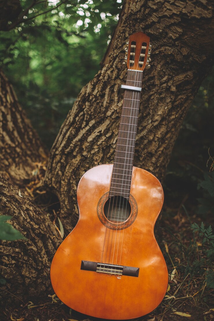 Miễn phí Photo vertical shot of a guitar leaning on the trunk of a tree in the middle of a forest