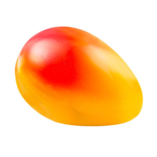 mango fruit isolated