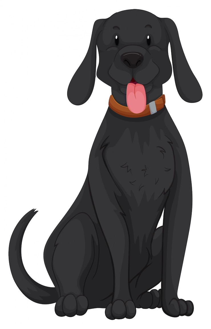 Ilmainen Vektori cute dog with black fur