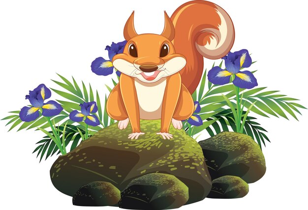 Cute squirrel sitting on rock