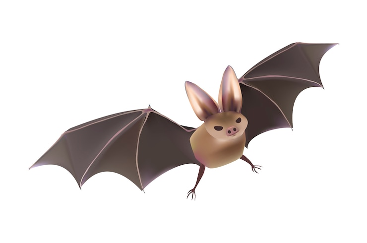 Ilmainen Vektori halloween  vector set