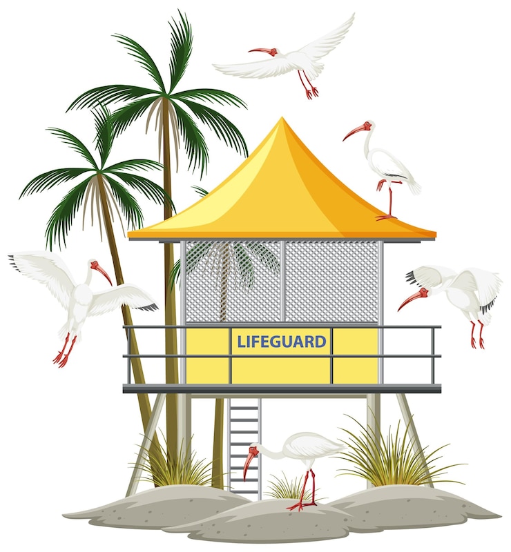 Ilmainen Vektori lifeguard tower and american white ibis group
