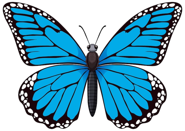 Ilmainen Vektori vibrant blue butterfly illustration