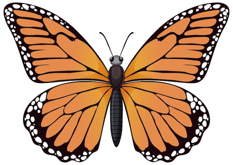 Ilmainen Vektori vibrant monarch butterfly illustration