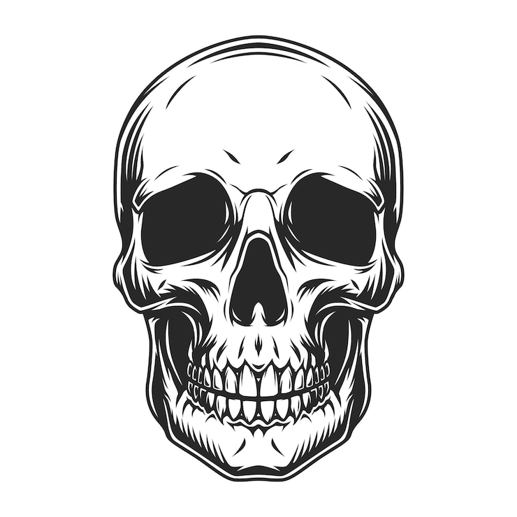 Ilmainen Vektori vintage human skull concept