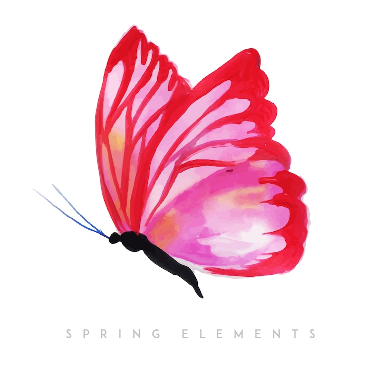 Ilmainen Vektori watercolor spring butterfly