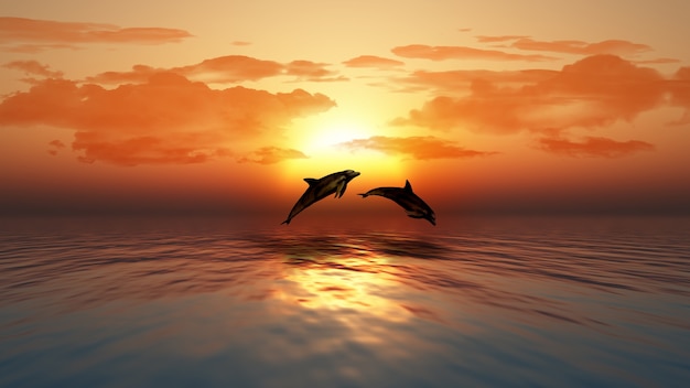 3D rendent d&#39;un coucher de soleil sur l&#39;océan avec les dauphins sauter