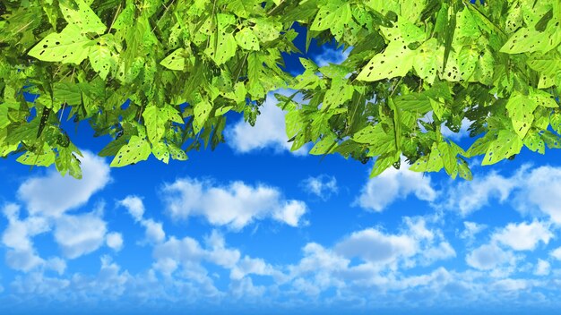 3D rendent des feuilles vertes sur un ciel bleu nuageux
