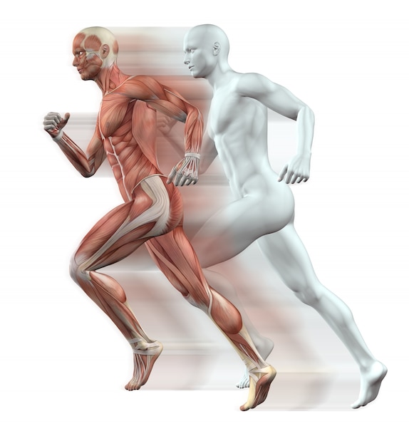 3D rendent des personnages masculins courir avec la peau et le muscle carte