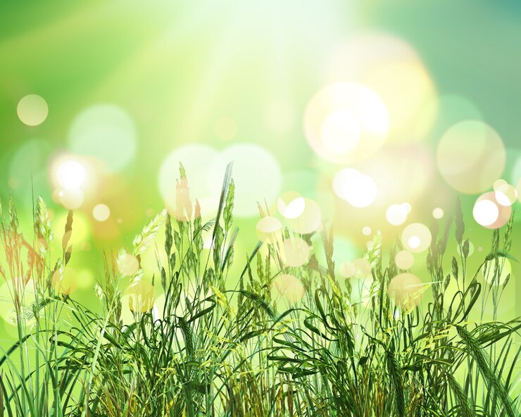 Photo gratuit 3d render de blé vert sur fond lumières bokeh ensoleillé