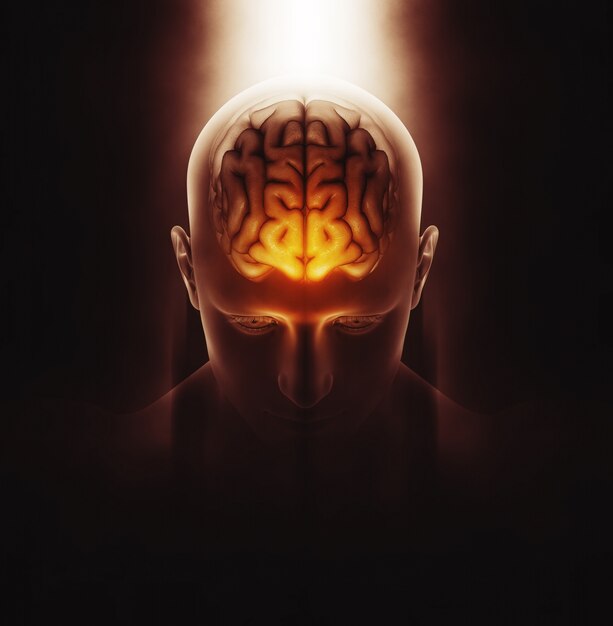 3D rendu d&#39;une image médicale d&#39;une figure masculine avec le cerveau souligné et dramatique en surbrillance