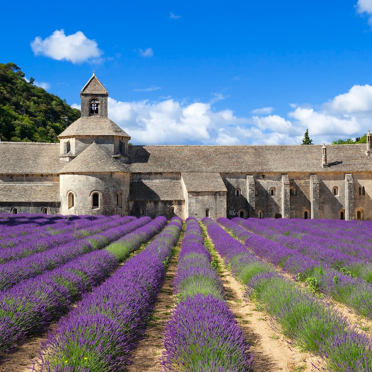 Photo gratuit abbaye de sénanque et rangées fleuries de fleurs de lavande. france.