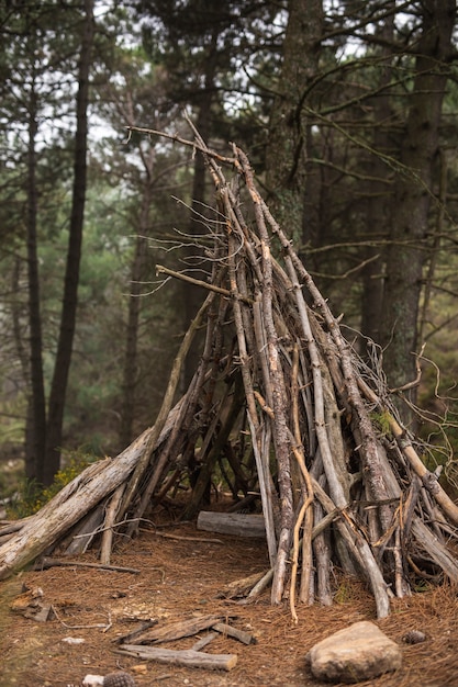 Abri fait de branches dans la nature